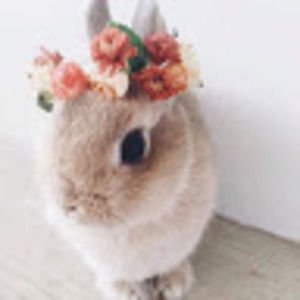 Meet your Posher, Violet